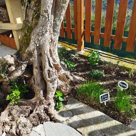 Villa Amphiorama La Spezia Esterno foto