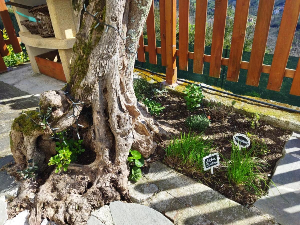 Villa Amphiorama La Spezia Esterno foto